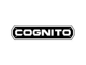 Cognito Motorsports